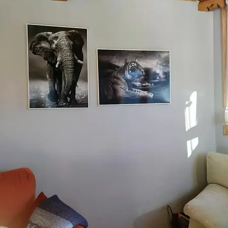 Maria En Vute-21-041 巴尔德利纳雷斯