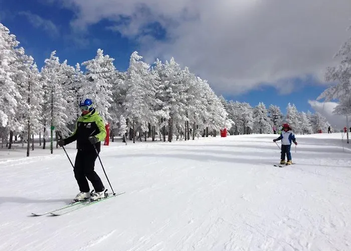 Lägenhet Maria En Vute-21-041